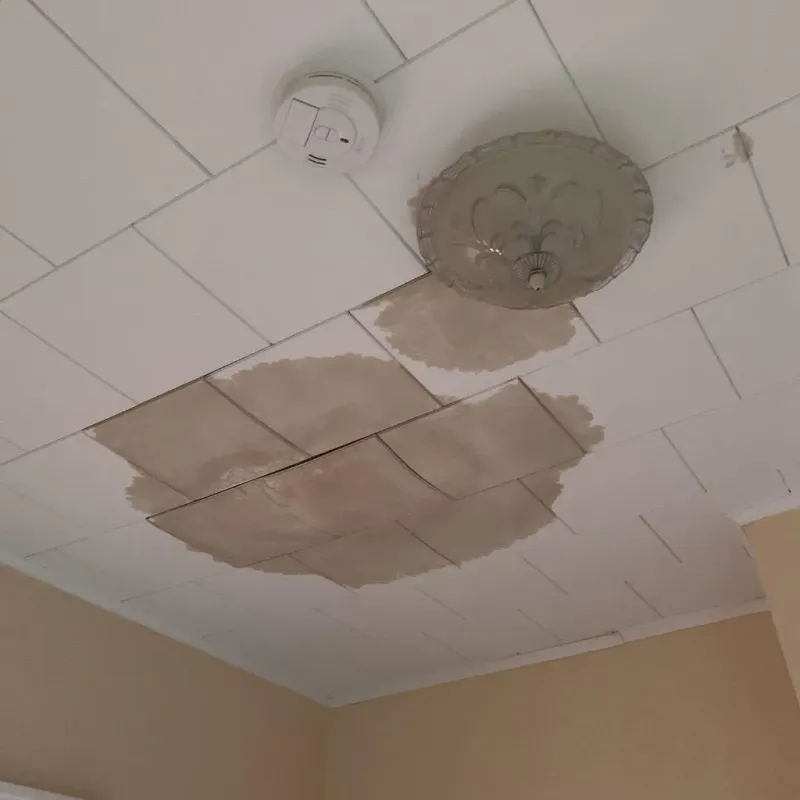 Ceiling Water Damage Repair in Woodbourne, PA